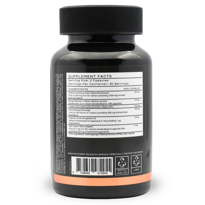 FocusFuel Nootropic Cognitive Supplement