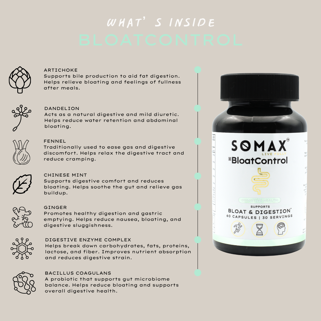 BloatControl Digestive Support Supplement