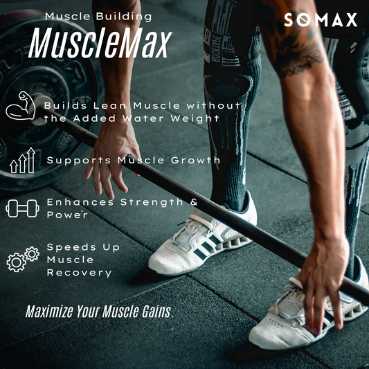 MuscleMax Lean Muscle Mass Supplement