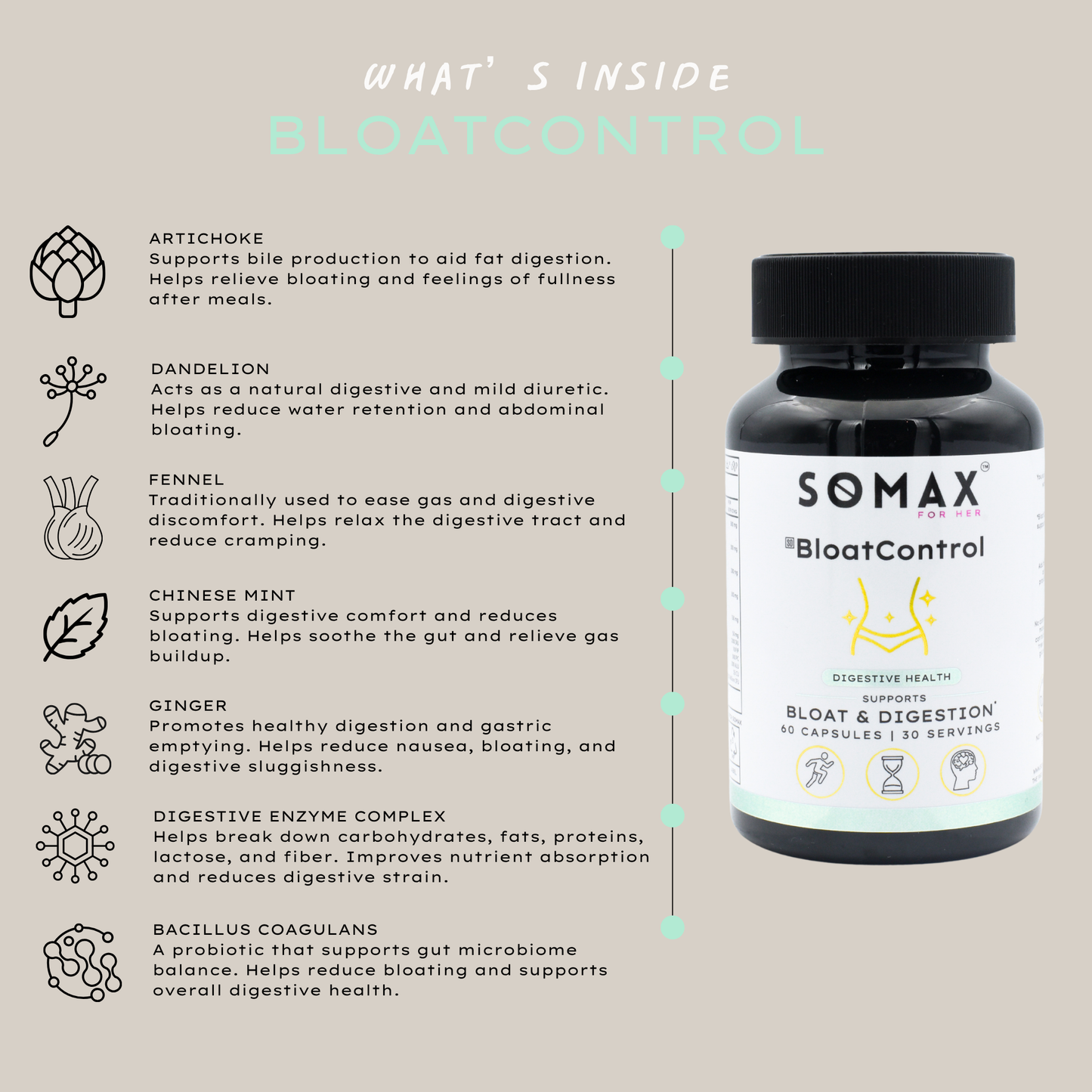 BloatControl Digestive Support Supplement