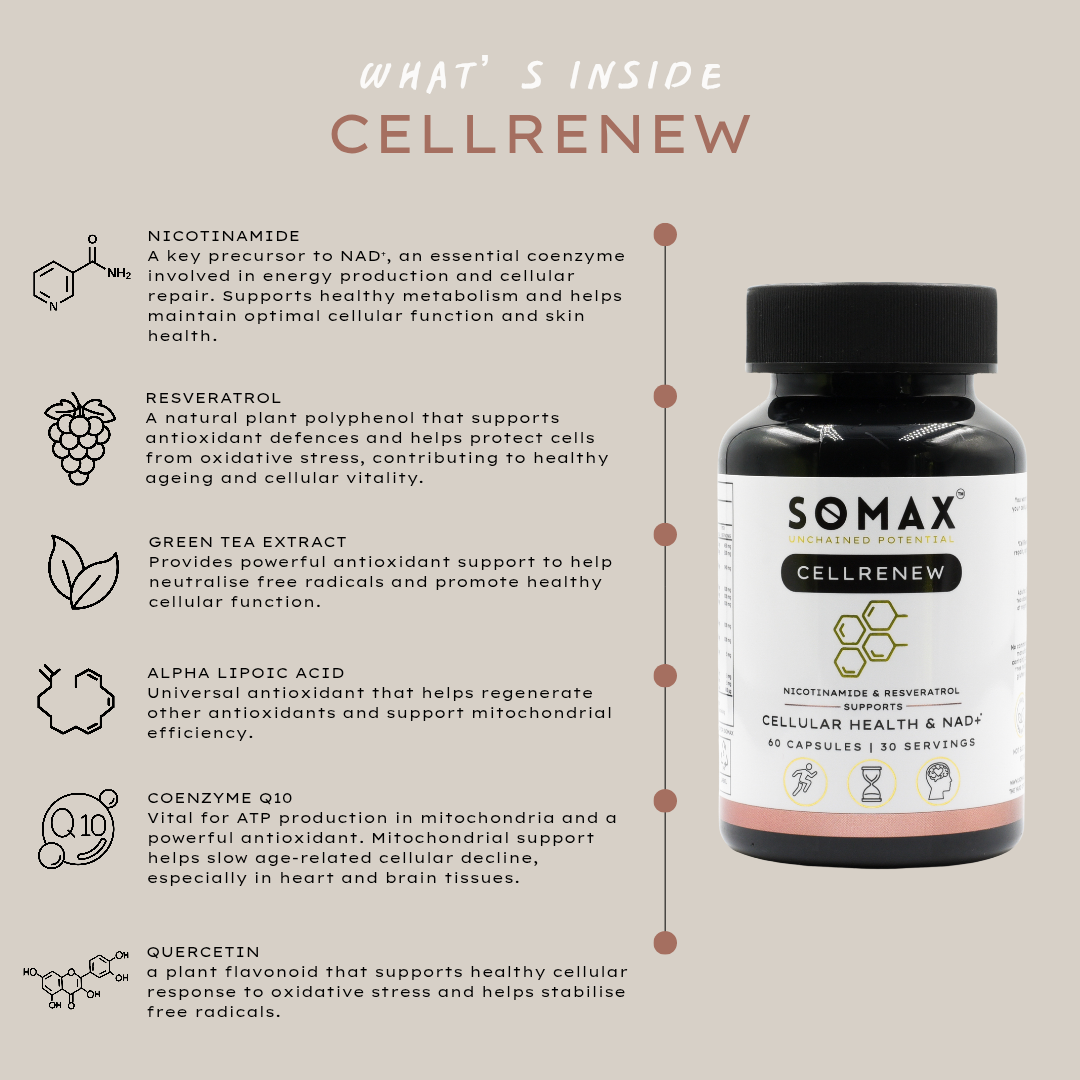 CellRenew NAD Longevity Supplement