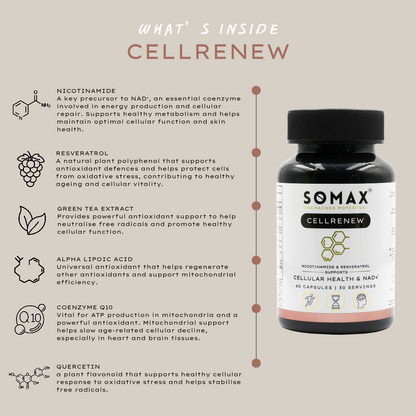 CellRenew NAD Longevity Supplement